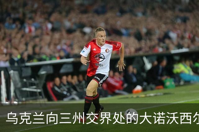 乌克兰向三州交界处的大诺沃西尔卡推进！夺取小迪布罗瓦